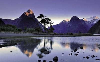 Milford Sound is a must-do on every Queenstown itinerary.